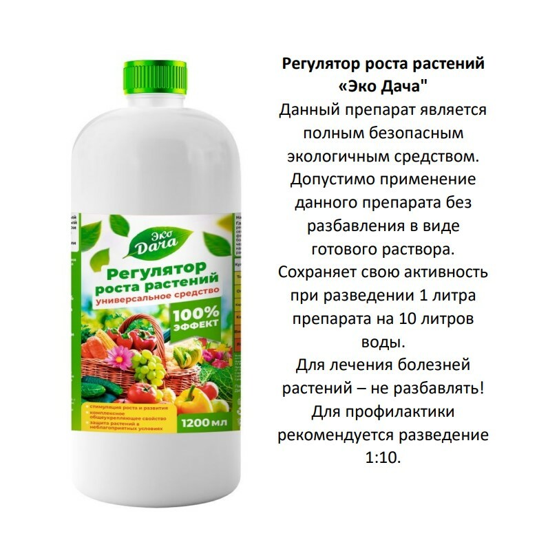 регулятор роста растений эко дача регулятор роста растений эко дача сибголденгрупп